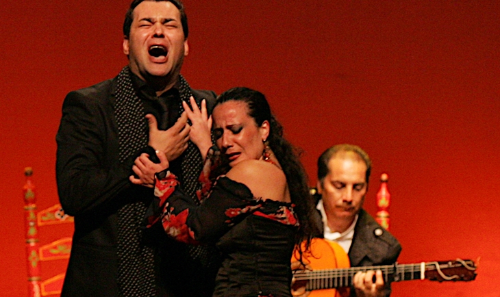 El flamenco protagoniza la segunda conferencia del Aula de la Diputación de Badajoz