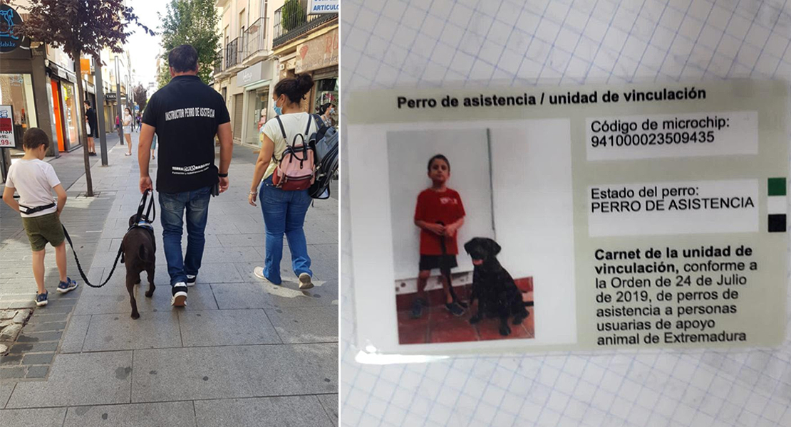 Así es "Perla", la primera perra de asistencia en Extremadura