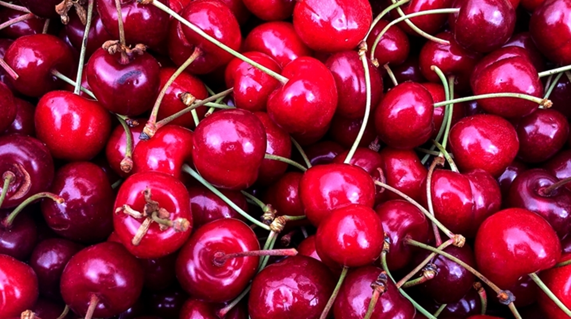 Analizan las posibles soluciones a los vertidos de cerezas del Jerte