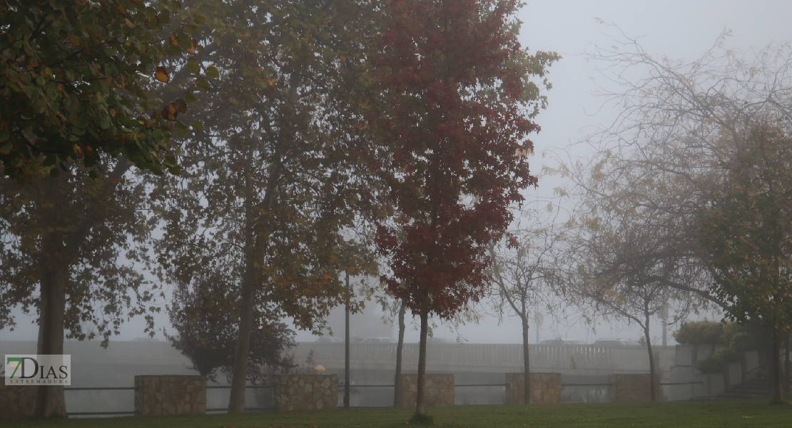 Badajoz amanece con intensas nieblas