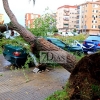 La tormenta deja numerosos destrozos en Badajoz y Gévora