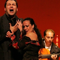 El flamenco protagoniza la segunda conferencia del Aula de la Diputación de Badajoz