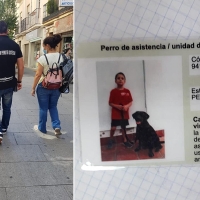 Así es "Perla", la primera perra de asistencia en Extremadura