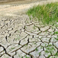 Advierten que el mundo no cuenta con un plan de respuesta adecuado ante el cambio climático