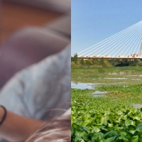 Nueva App sobre especies invasoras en el Guadiana