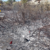 Detenido el presunto autor del incendio forestal registrado en el municipio de Cañaveral