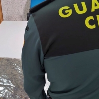 Perros adiestrados localizan droga oculta en un vehículo en la A-66