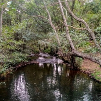 Aprueban trabajos de restauración fluvial de los ríos Guadiana y Ruecas