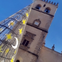 Badajoz ya cuenta con su tradicional árbol en la Plaza de España