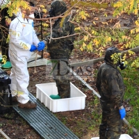 Descienden los contagios de manera sobresaliente en Extremadura