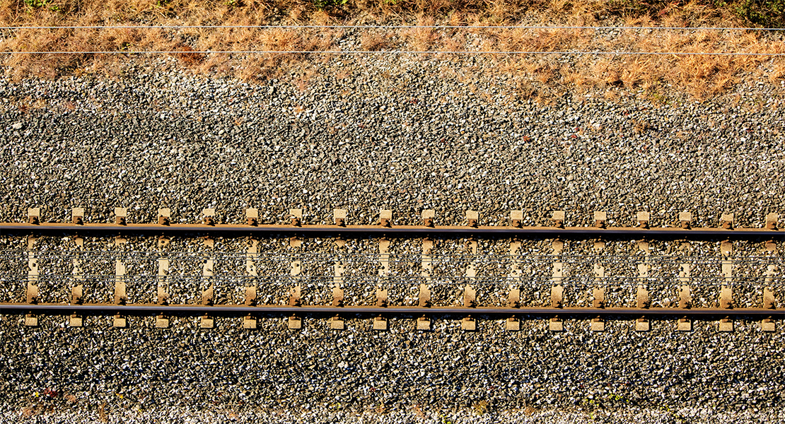 VOX denuncia &quot;el lamentable estado&quot; de la red ferroviaria en Extremadura