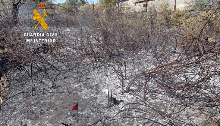 Detenido el presunto autor del incendio forestal registrado en el municipio de Cañaveral