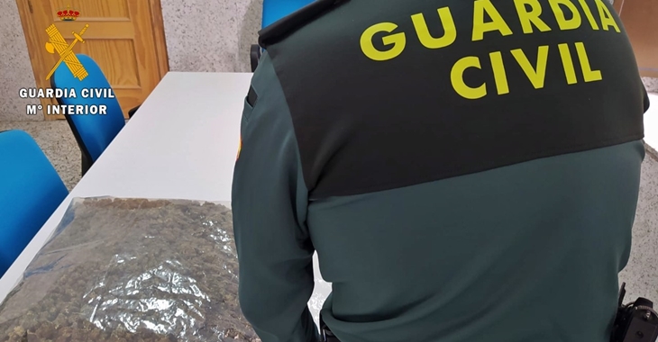 Perros adiestrados localizan droga oculta en un vehículo en la A-66