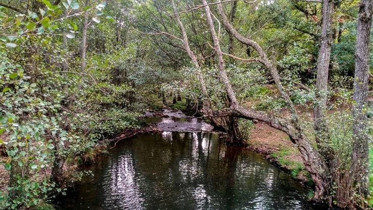 Aprueban trabajos de restauración fluvial de los ríos Guadiana y Ruecas