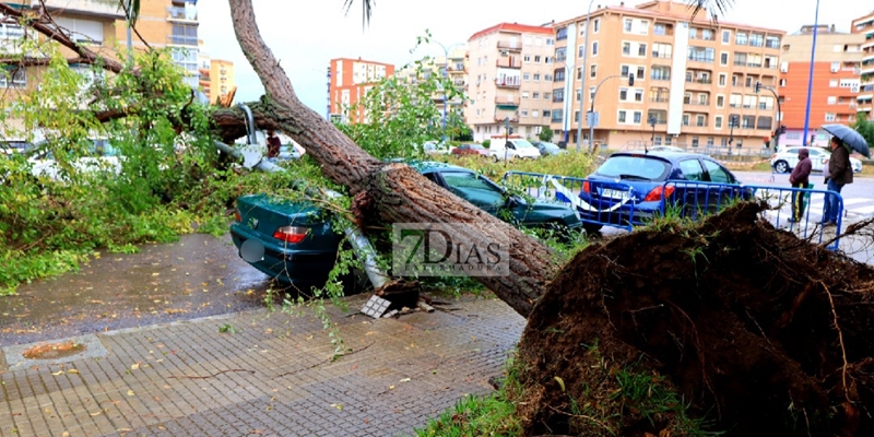 La tormenta deja numerosos destrozos en Badajoz y Gévora