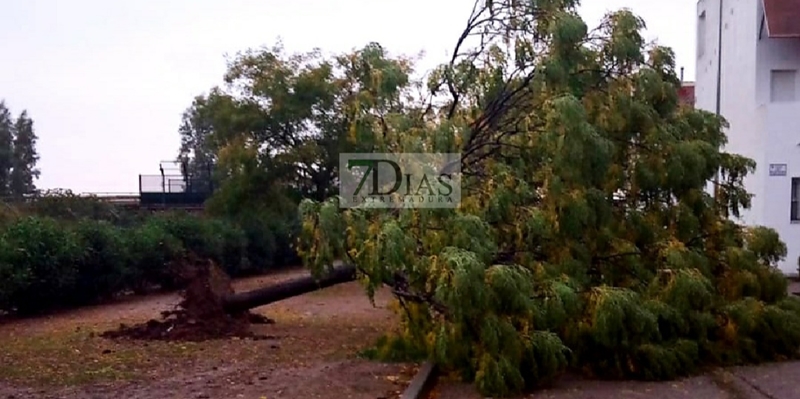 La tormenta deja numerosos destrozos en Badajoz y Gévora