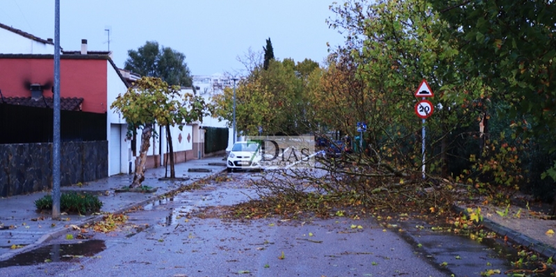 La tormenta deja numerosos destrozos en Badajoz y Gévora