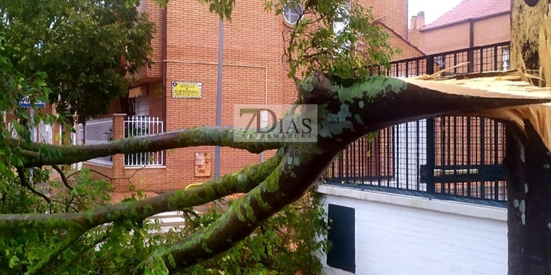 La tormenta deja numerosos destrozos en Badajoz y Gévora