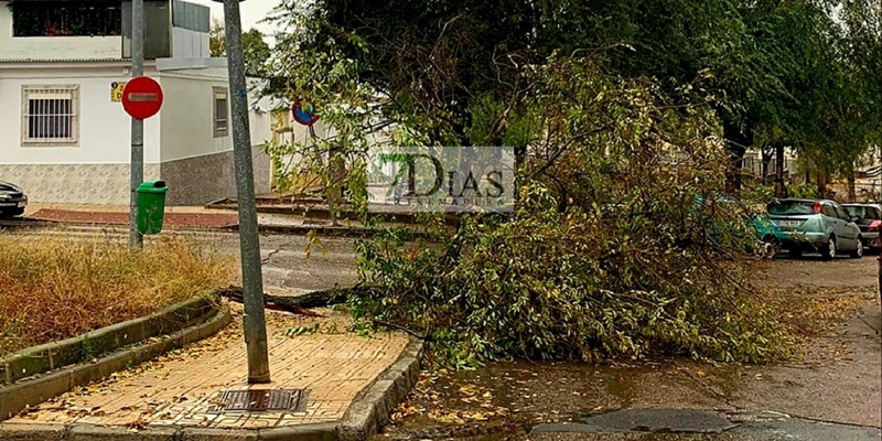 La tormenta deja numerosos destrozos en Badajoz y Gévora