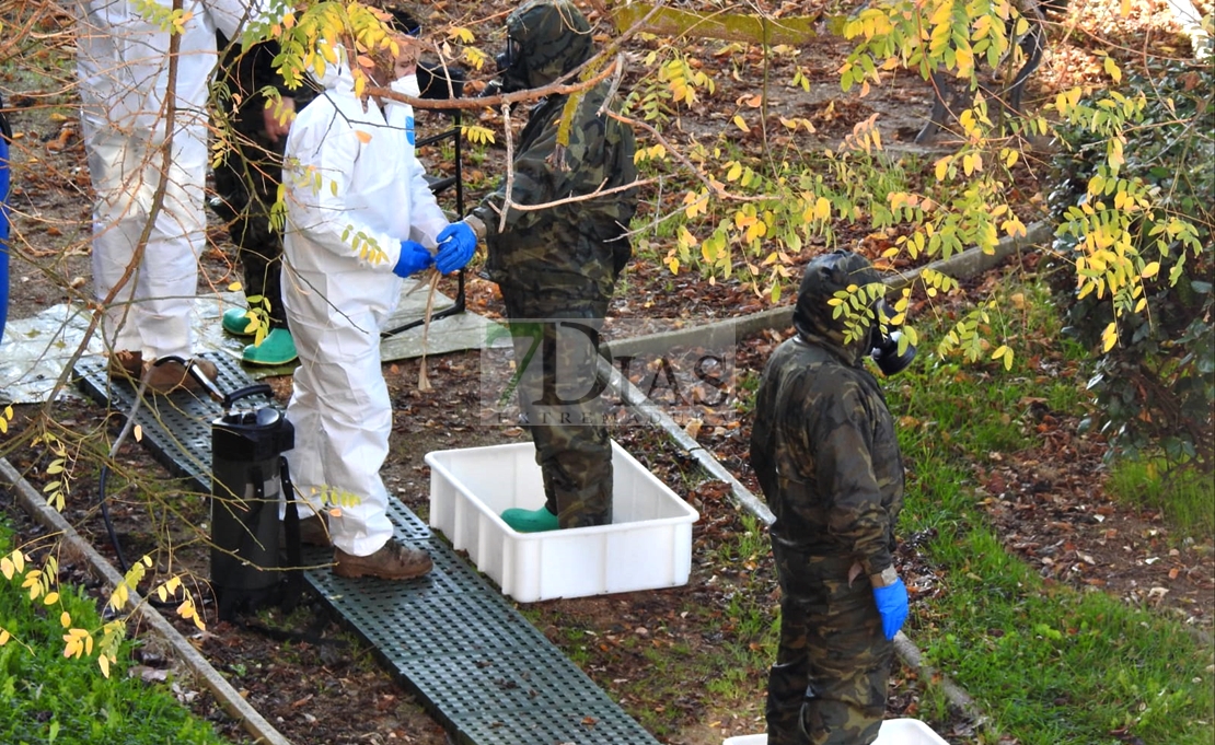 Descienden los contagios de manera sobresaliente en Extremadura