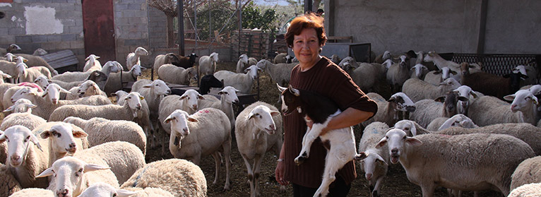 Autorizan la venta directa de productos artesanales desde las granjas, &quot;una conquista histórica&quot;