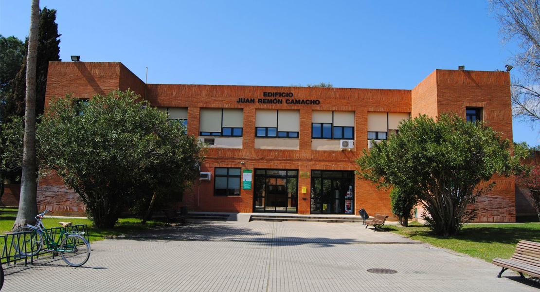 La Universidad Extremadura acoge la fase local de la Olimpiada de Matemáticas