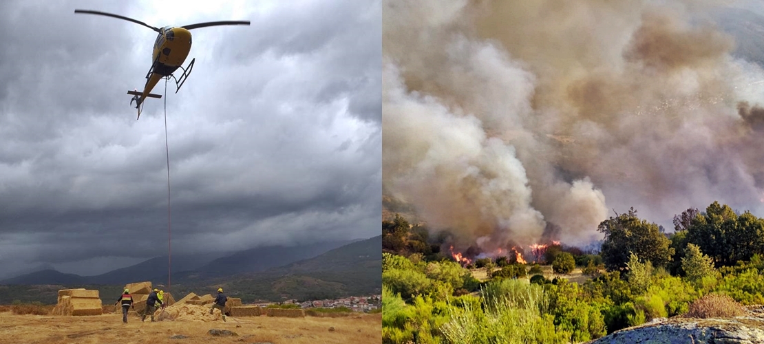 Continúan los trabajos para recuperar el Jerte y La Vera tras los incendios del pasado verano