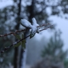 REPOR: Ligera nevada en la vecina Sierra de Sao Mamede