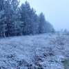 REPOR: Ligera nevada en la vecina Sierra de Sao Mamede