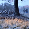 REPOR: Ligera nevada en la vecina Sierra de Sao Mamede