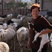 Autorizan la venta de productos desde las granjas, &quot;una conquista histórica&quot;