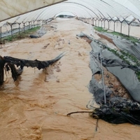 UPA propone que se tengan en cuenta los costes de producción al contratar un seguro agrario