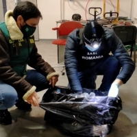 Golpe a una importante organización delictiva dedicada a la fabricación ilegal de tabaco
