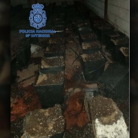 Detenidos por gestionar la plantación de marihuana incendiada en 'El Nevero' (Badajoz)