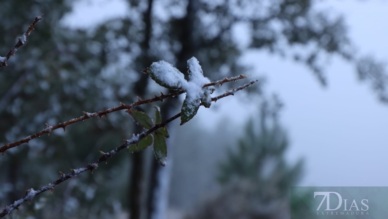 REPOR: Ligera nevada en la vecina Sierra de Sao Mamede