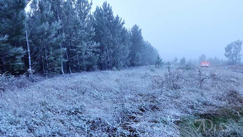 REPOR: Ligera nevada en la vecina Sierra de Sao Mamede