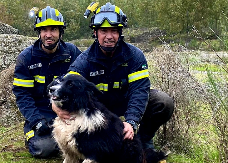 Los bomberos rescatan a un can en la sierra de Alburquerque (BA)