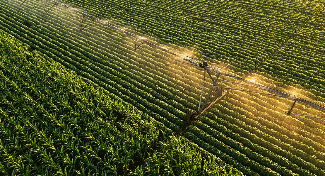 La falta de medidas provoca un gran aumento del paro en el campo extremeño