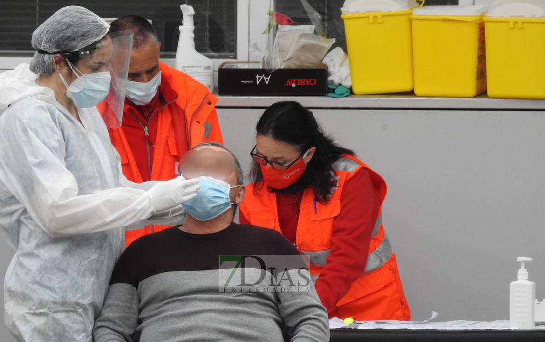 Cribados masivos en Badajoz: Vergeles indica que cuanta más gente vaya mejor