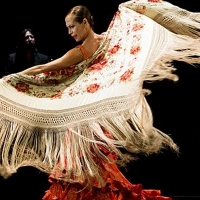 El Aula de Flamenco de la Diputación presente en Cádiz