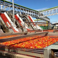 4 millones de euros para 16 industrias agrarias en Extremadura