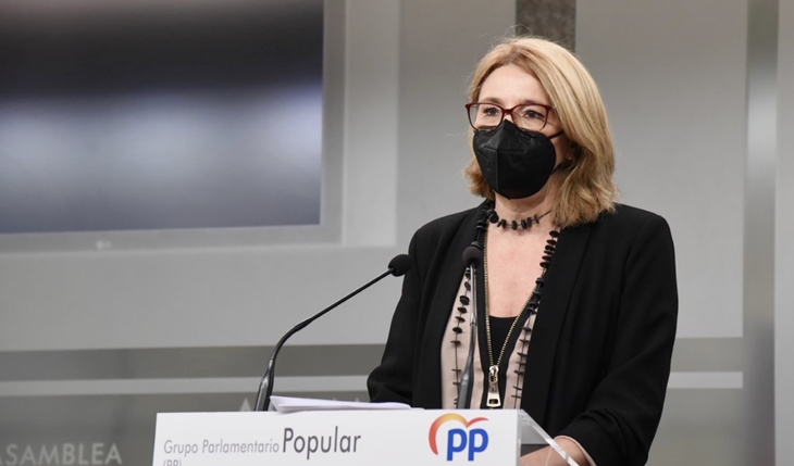 El PP solicita la comparecencia de Vergeles para que informe sobre la situación de “colapso sanitario”
