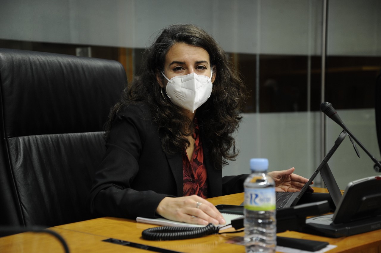 Aprueban la propuesta de UpE para garantizar el suministro eléctrico en Extremadura