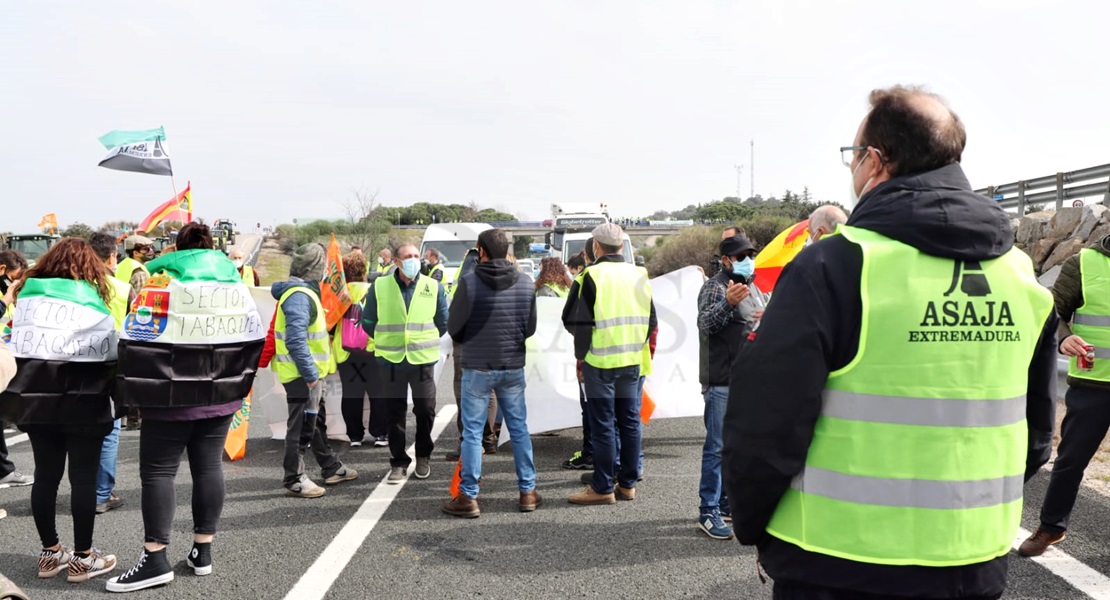 Agricultores extremeños cortan la Autovía A-5 durante horas en defensa del tabaco