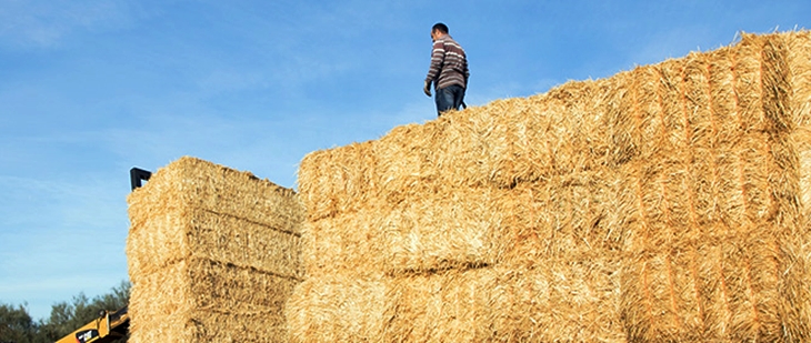 Piden un plan de choque contra la siniestralidad laboral en el campo