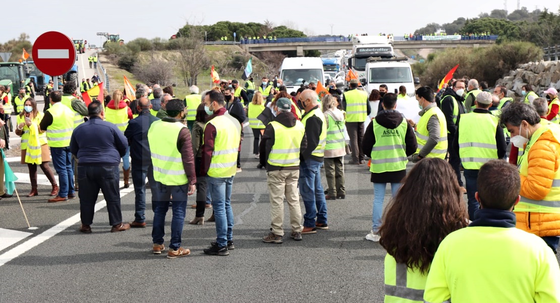 Agricultores extremeños cortan la Autovía A-5 durante horas en defensa del tabaco