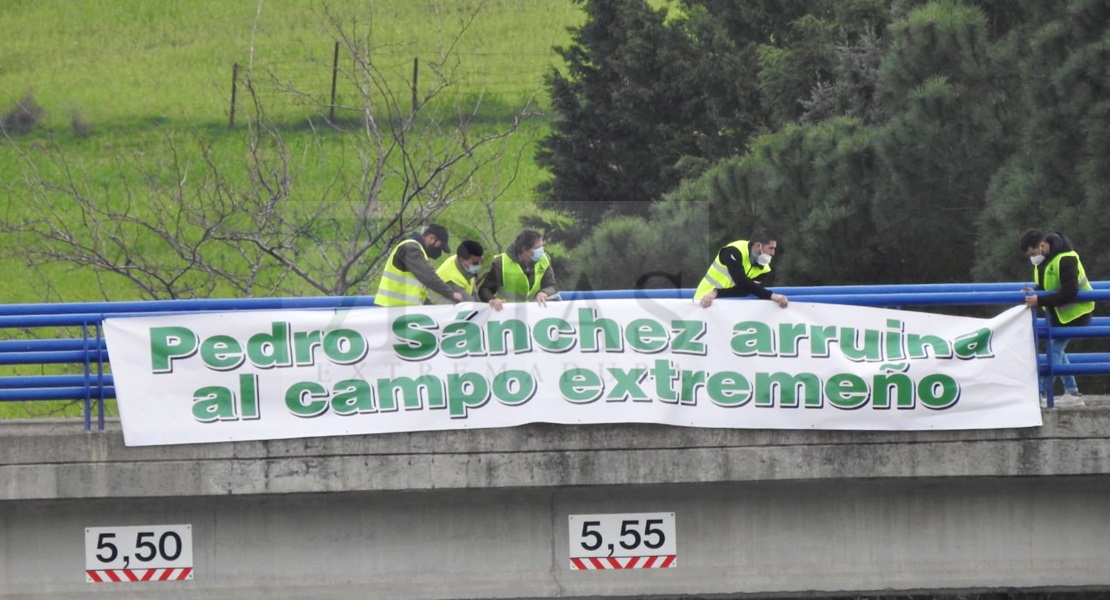 Agricultores extremeños cortan la Autovía A-5 durante horas en defensa del tabaco