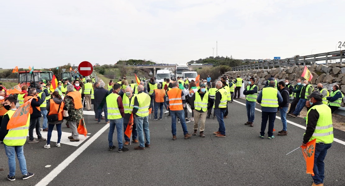 Agricultores extremeños cortan la Autovía A-5 durante horas en defensa del tabaco