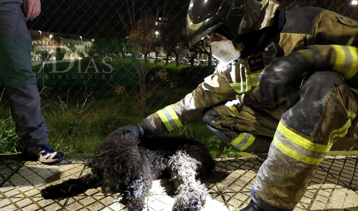 Grave incendio de vivienda en la barriada de San Fernando (Badajoz)