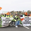 Agricultores extremeños cortan la Autovía A-5 durante horas en defensa del tabaco